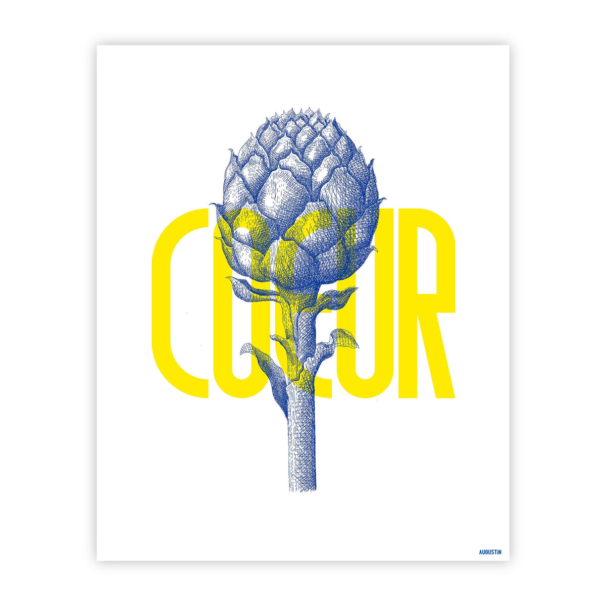 Affiche 50x70cm Augustin
